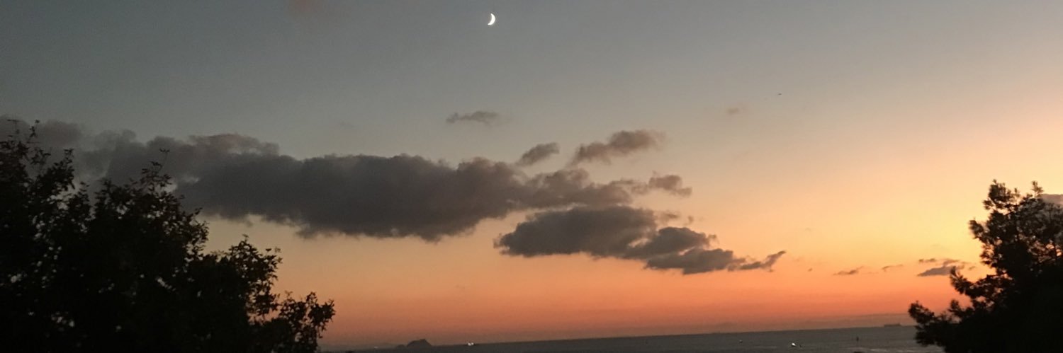 aslisuzenn's profile banner image