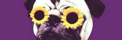gustavowrites's profile banner image