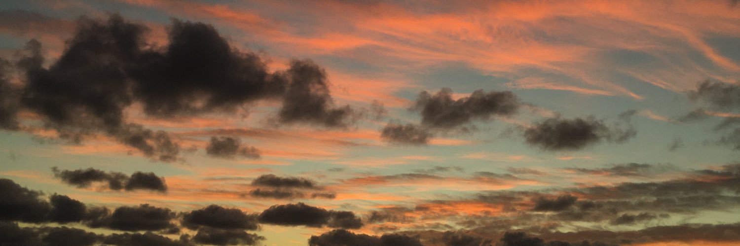 paz_aragon's profile banner image