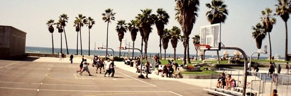 João Videira banner