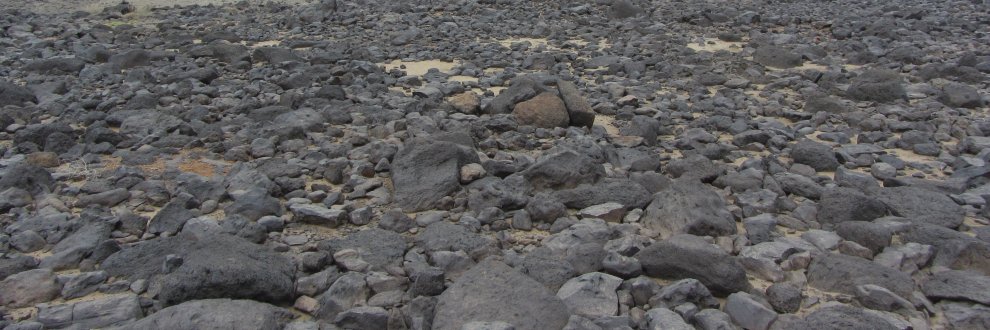 Dr Robyn Cooper Inglis banner