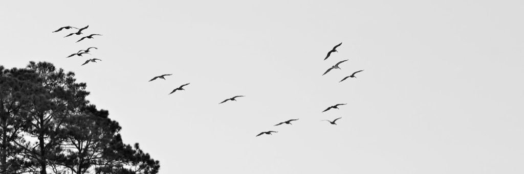 Hisperest's profile banner image