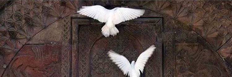 Areej_09's profile banner image