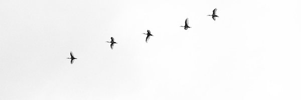 iyuhaa Profile Banner