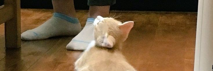 itsjusme banner