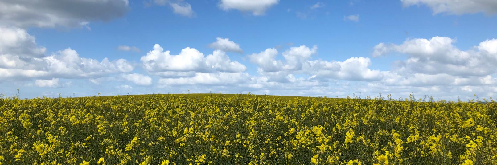 Darren Roberts banner