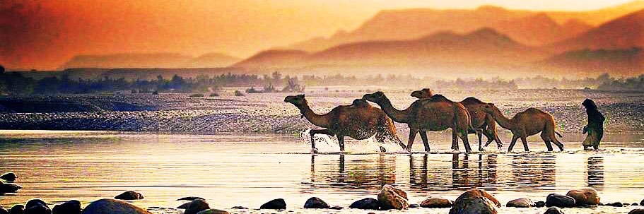 Baloch_infox's profile banner image