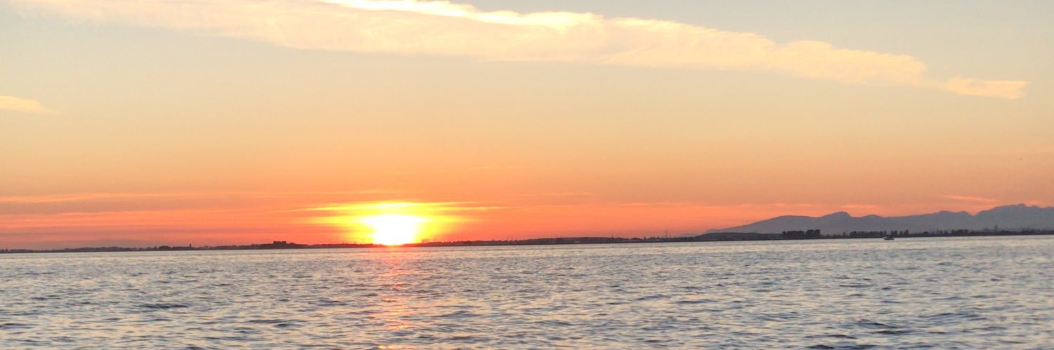 randybobandyz's profile banner image