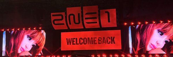 2NE1Chaerry Profile Banner