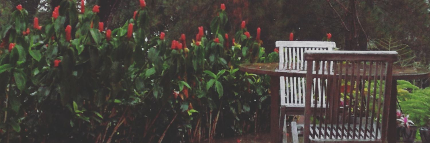Rabab_j27's profile banner image