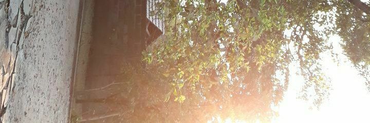 Andrew Nyirenda banner