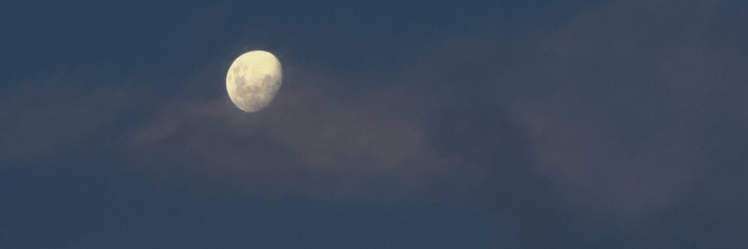 it’s a mī 🇳🇿🏳️‍🌈🍉🤘🗿 banner