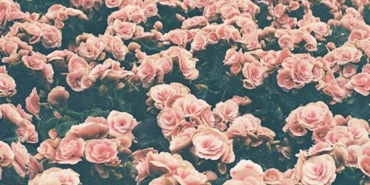 allisonmmkay's profile banner image