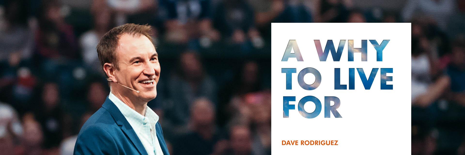 Dave Rodriguez banner