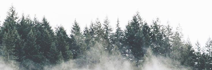 SarahPickerin's profile banner image