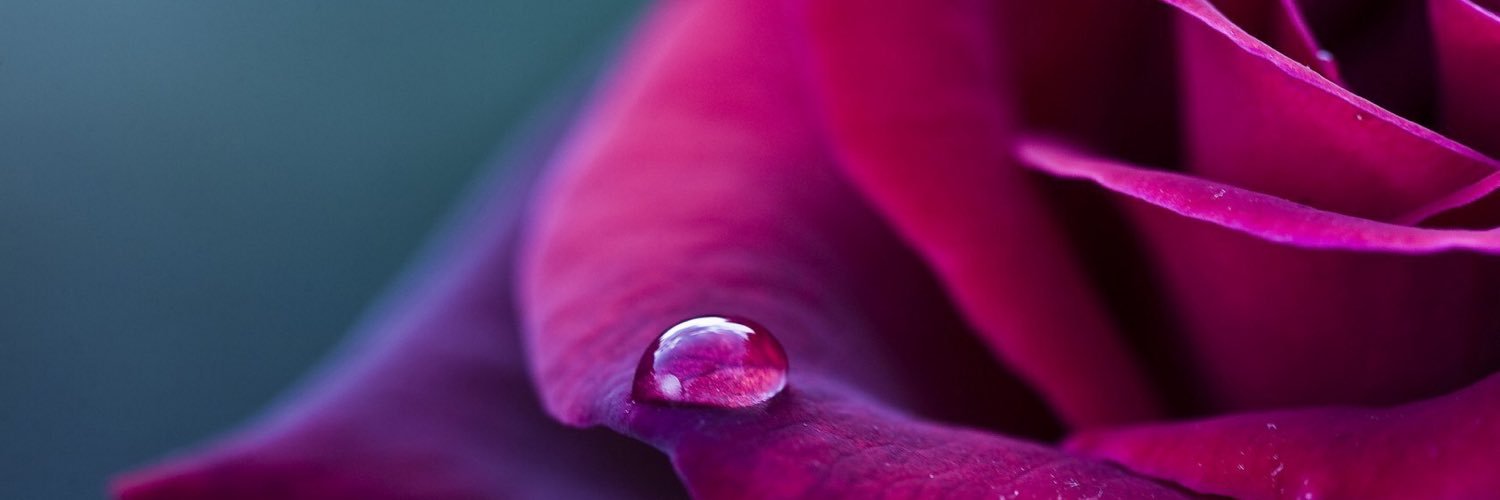 myriamnader15's profile banner image