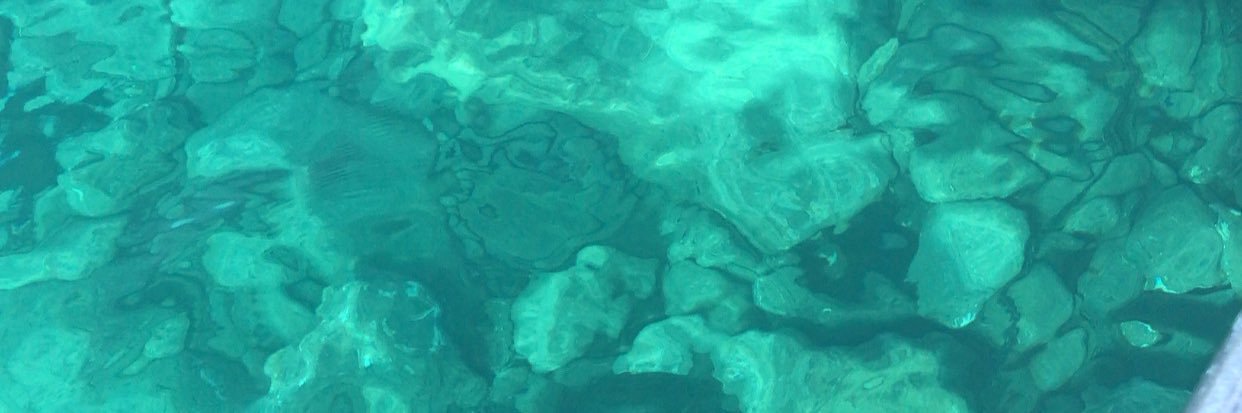 ozgesugg's profile banner image