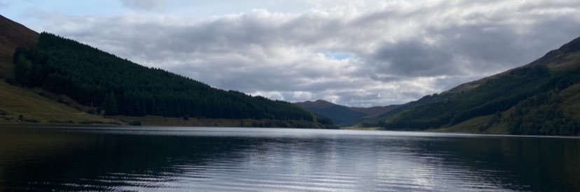 alisonthow1's profile banner image