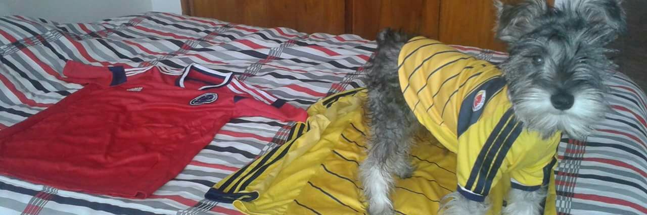 Sebastian Camilo Cortés banner