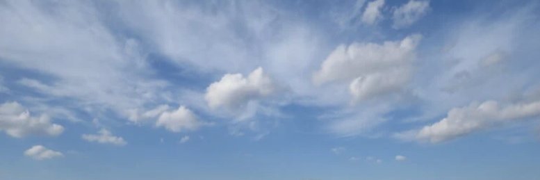 Falconineowl's profile banner image
