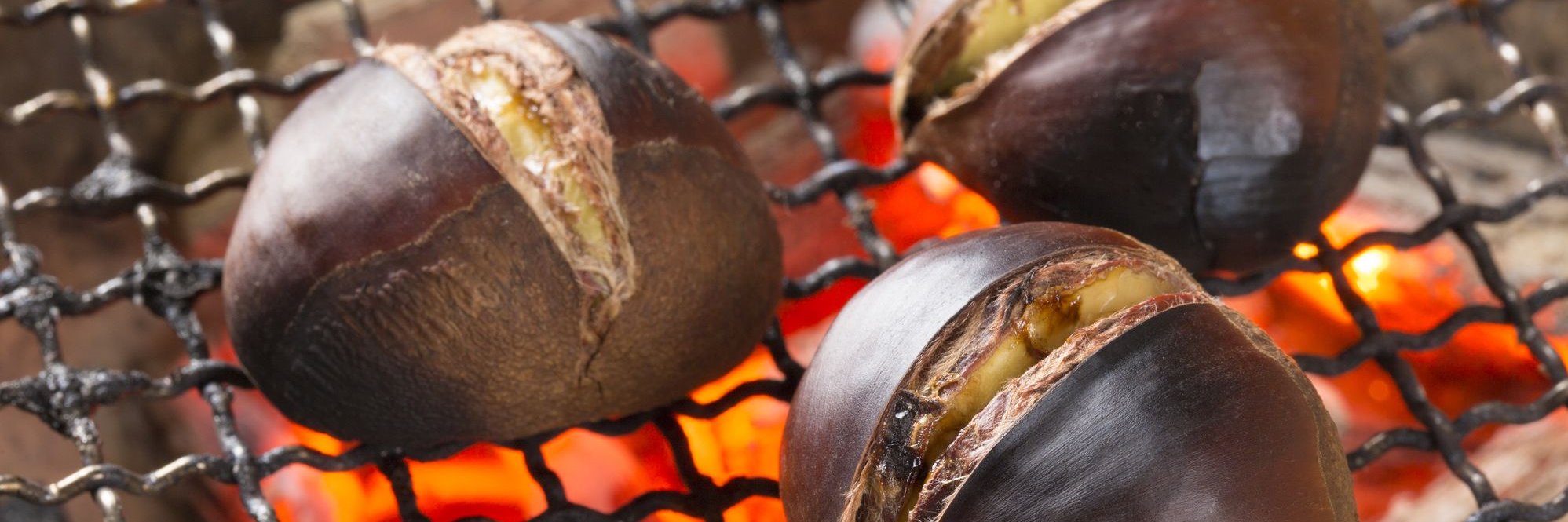chestnut100kg's profile banner image