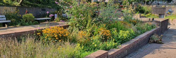 ChesterSTrees Profile Banner