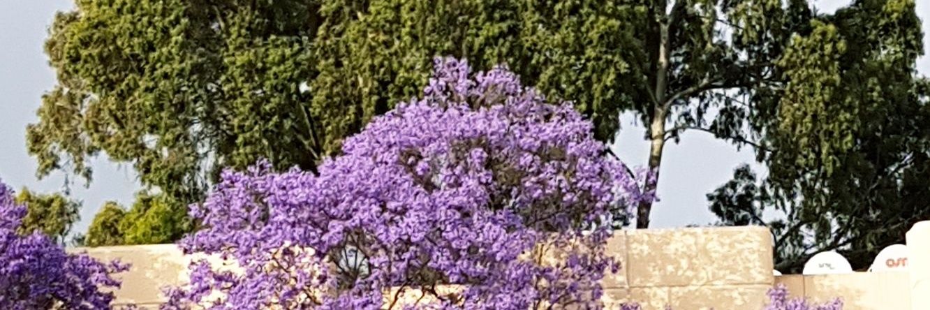 AliDerma52's profile banner image