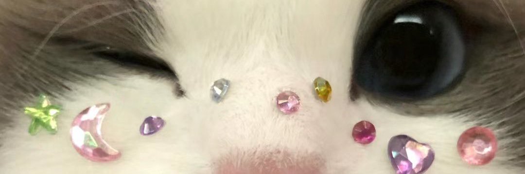 moylinsa's profile banner image