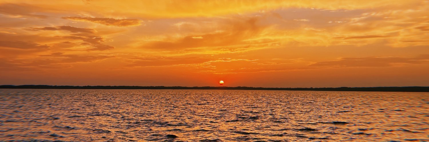 Charlie Hodge banner