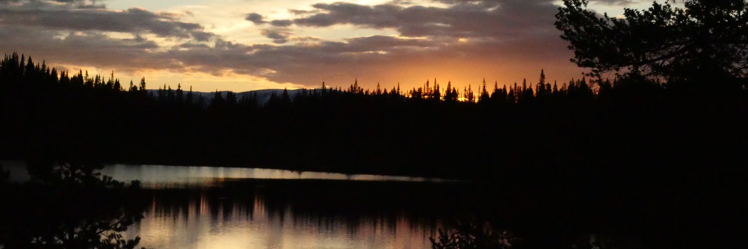 pnymsanders's profile banner image