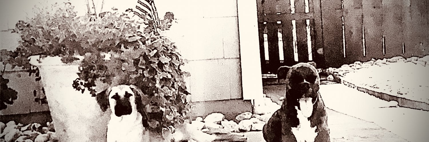Nvapner's profile banner image