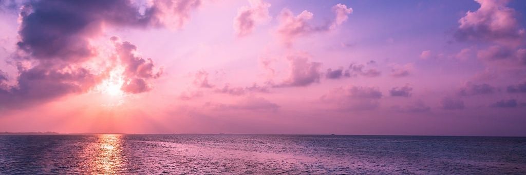 Mada_Taha's profile banner image