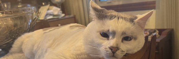 TuxThaKang Profile Banner