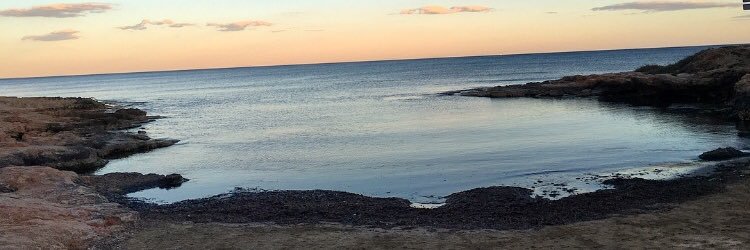 Antoli_19's profile banner image