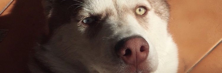 mariapazz___'s profile banner image