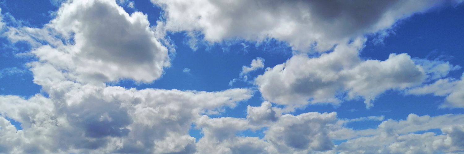 PAMEXOSORIO_'s profile banner image