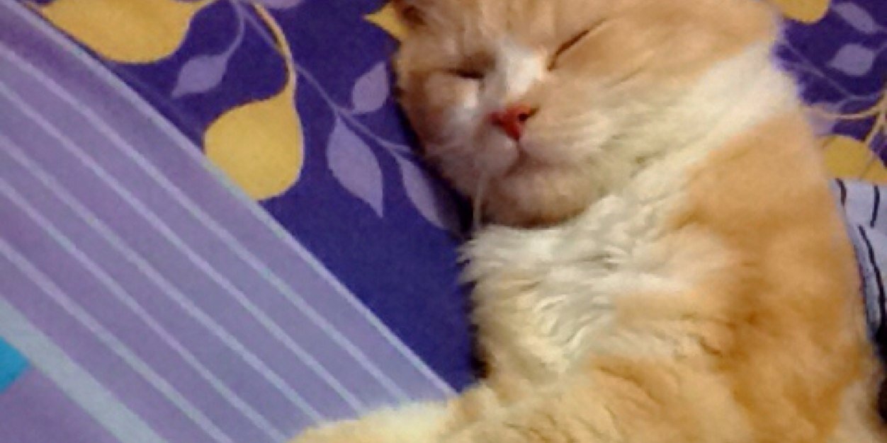 RanySultan's profile banner image