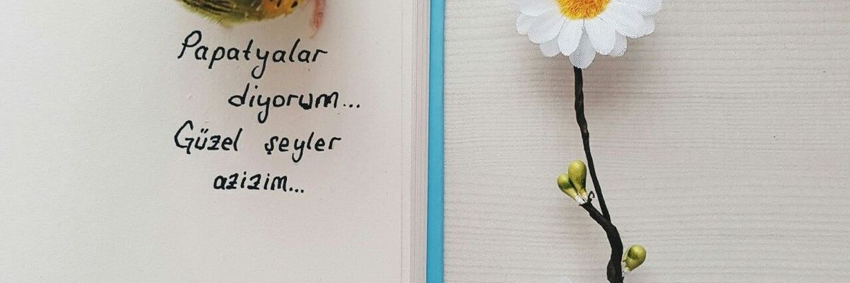turkkb612's profile banner image