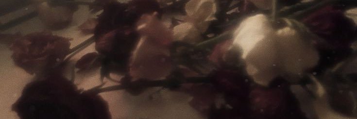 stephanien_b's profile banner image