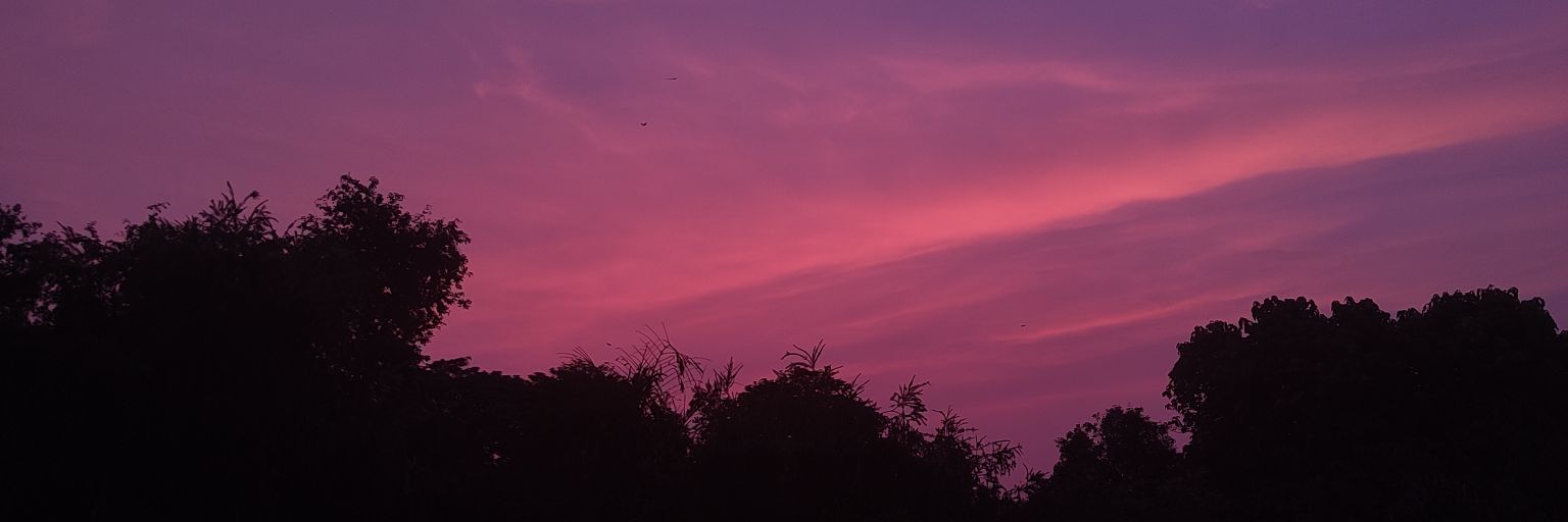 Sudipto Ghosh banner