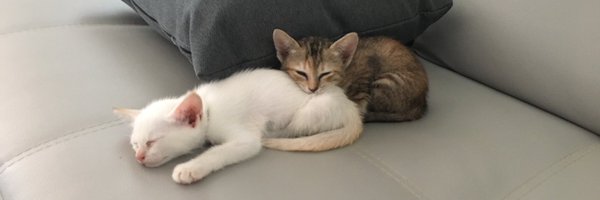 nanloser Profile Banner