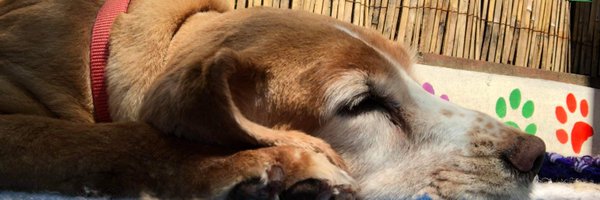 e1davidson Profile Banner