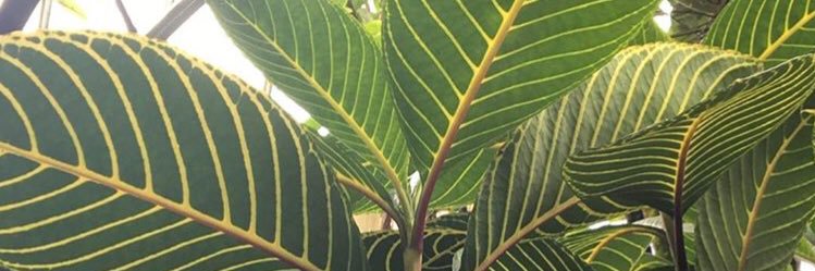 DoodleandDesign's profile banner image