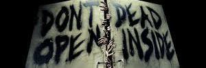 1Borreguin's profile banner image