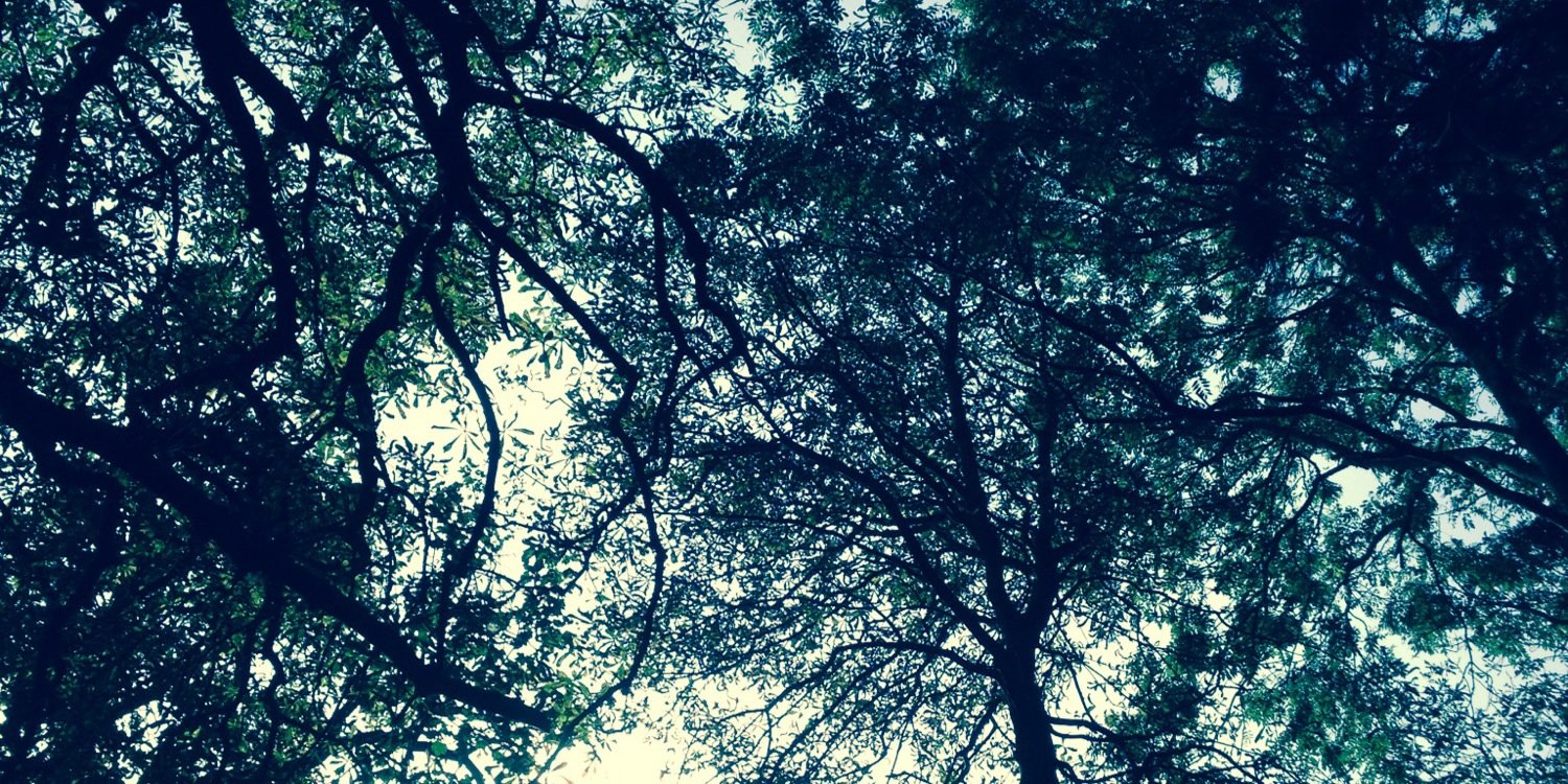 bethshaw_'s profile banner image