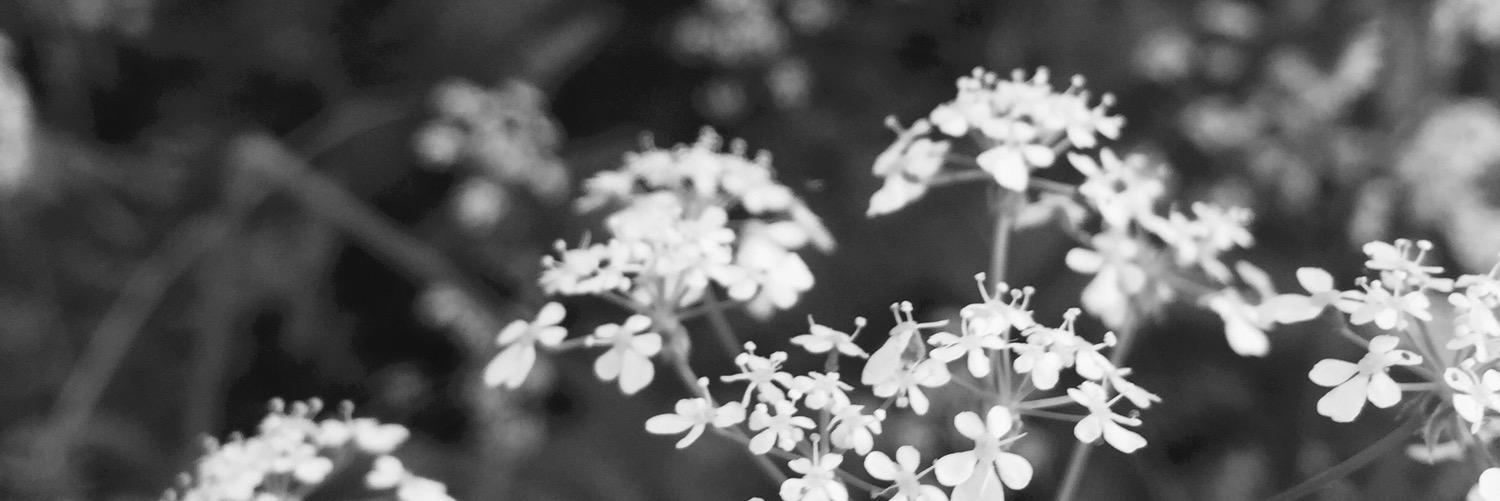 MeganEvans6's profile banner image