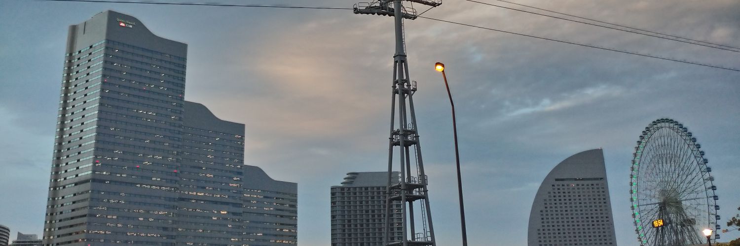 なぎまい/Maiko Nagisa banner