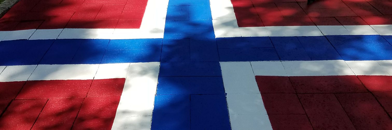 1psuviking's profile banner image