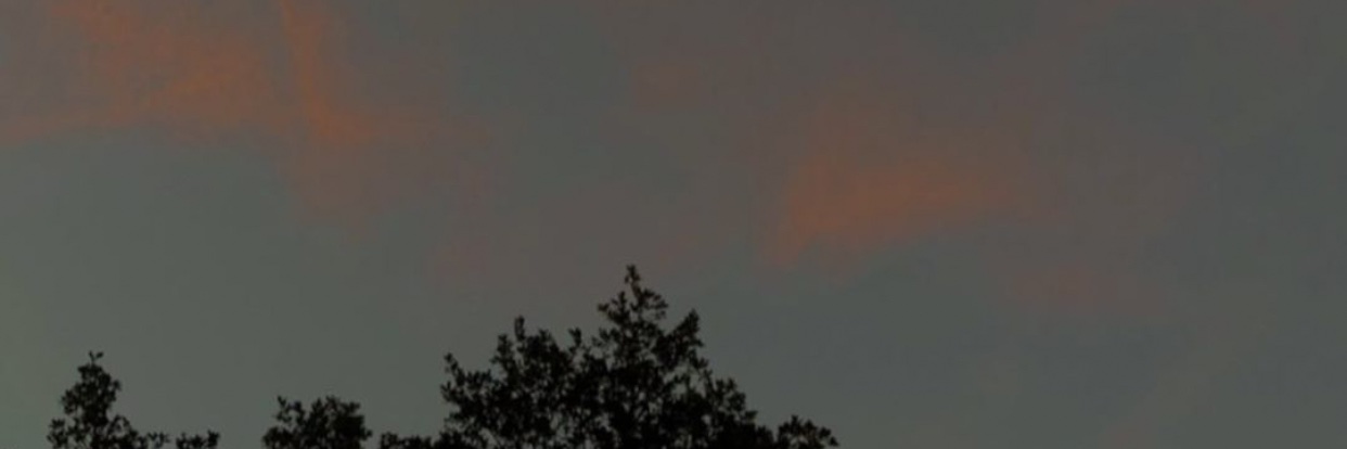 graciesmiith's profile banner image