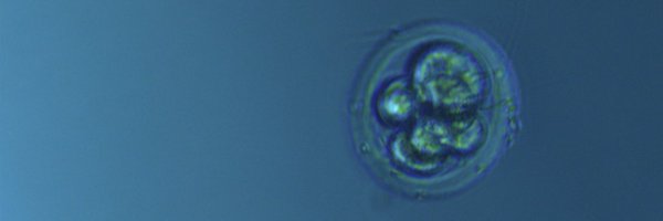 WDavidWeber Profile Banner